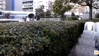 扬大附中“我不要手机了，你放开我，不要”【这个女的绝对可以约，看下面的简阶】